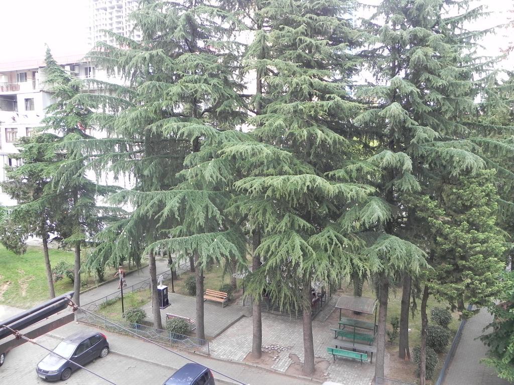 Comfortable Apartment In Батуми Экстерьер фото